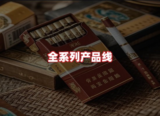 专业团队